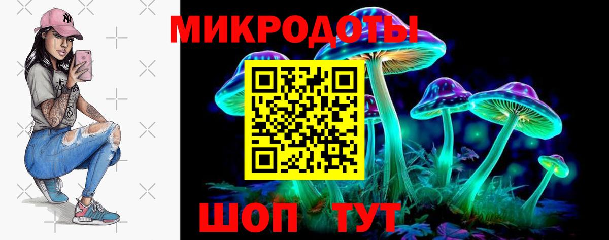 Псилоцибиновые грибы Psilocybe Ачинск